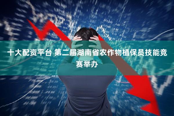 十大配资平台 第二届湖南省农作物植保员技能竞赛举办
